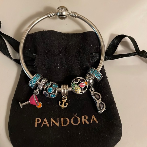 Pandora Charm Bracelet - Picture 1 of 3